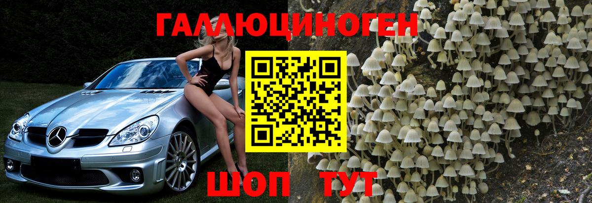 Семёнов  Псилоцибиновые грибы MAGIC MUSHROOMS  Псилоцибиновые грибы Psilocybine cubensis  Вход с VPN 